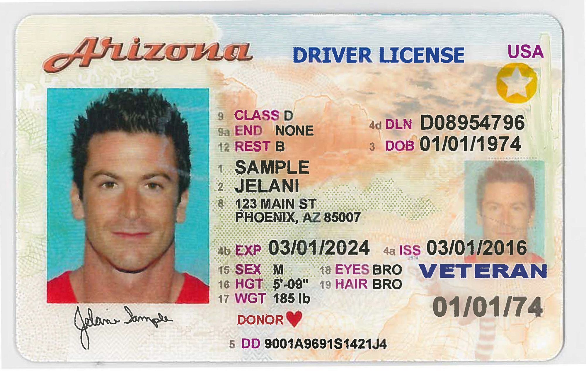 No Valid Driver License Az